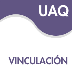 Vinculación